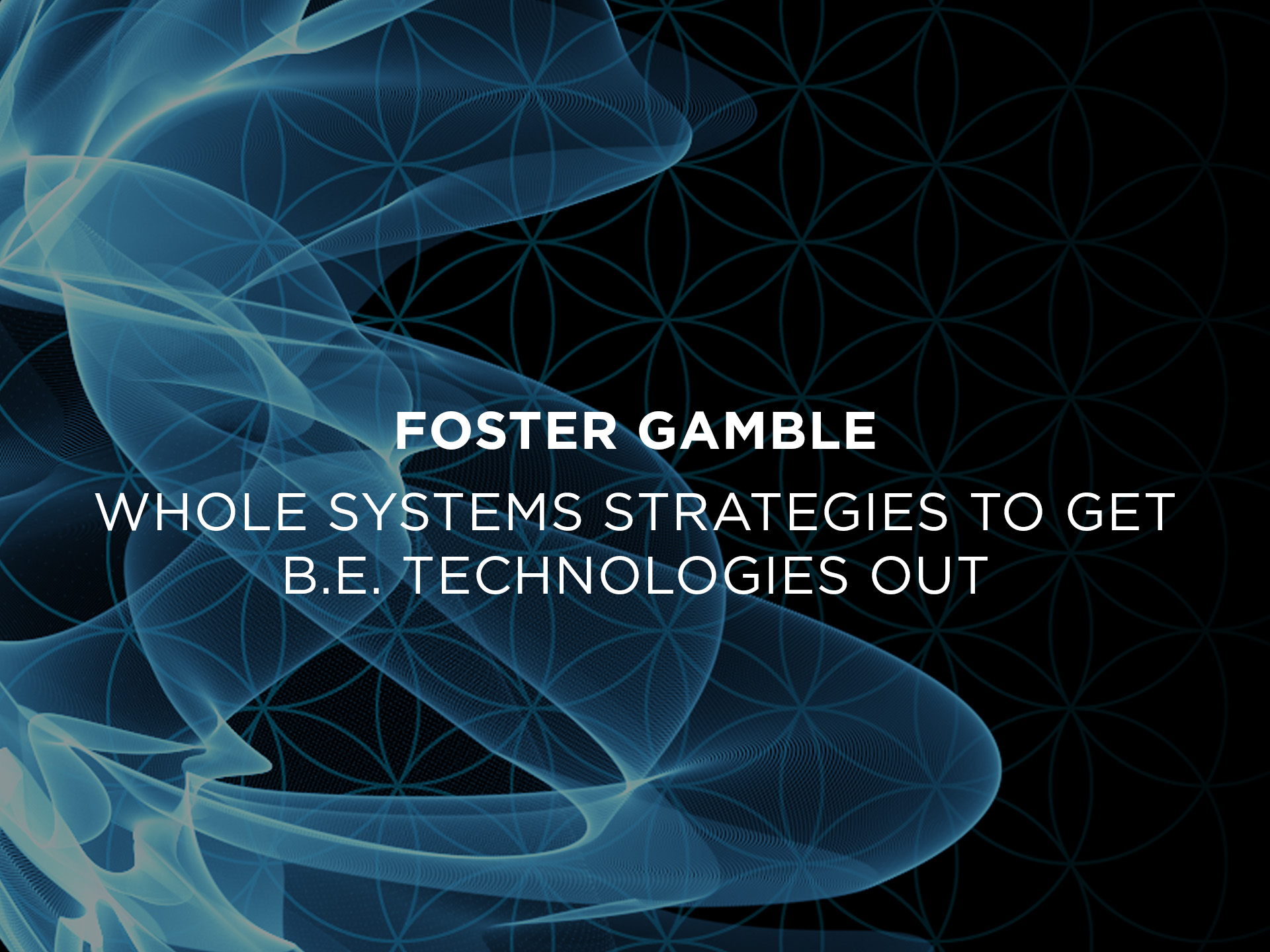 Foster Gamble : Whole Systems Strategies for Getting Breakthrough Technologies Safely and Successfully out to the World