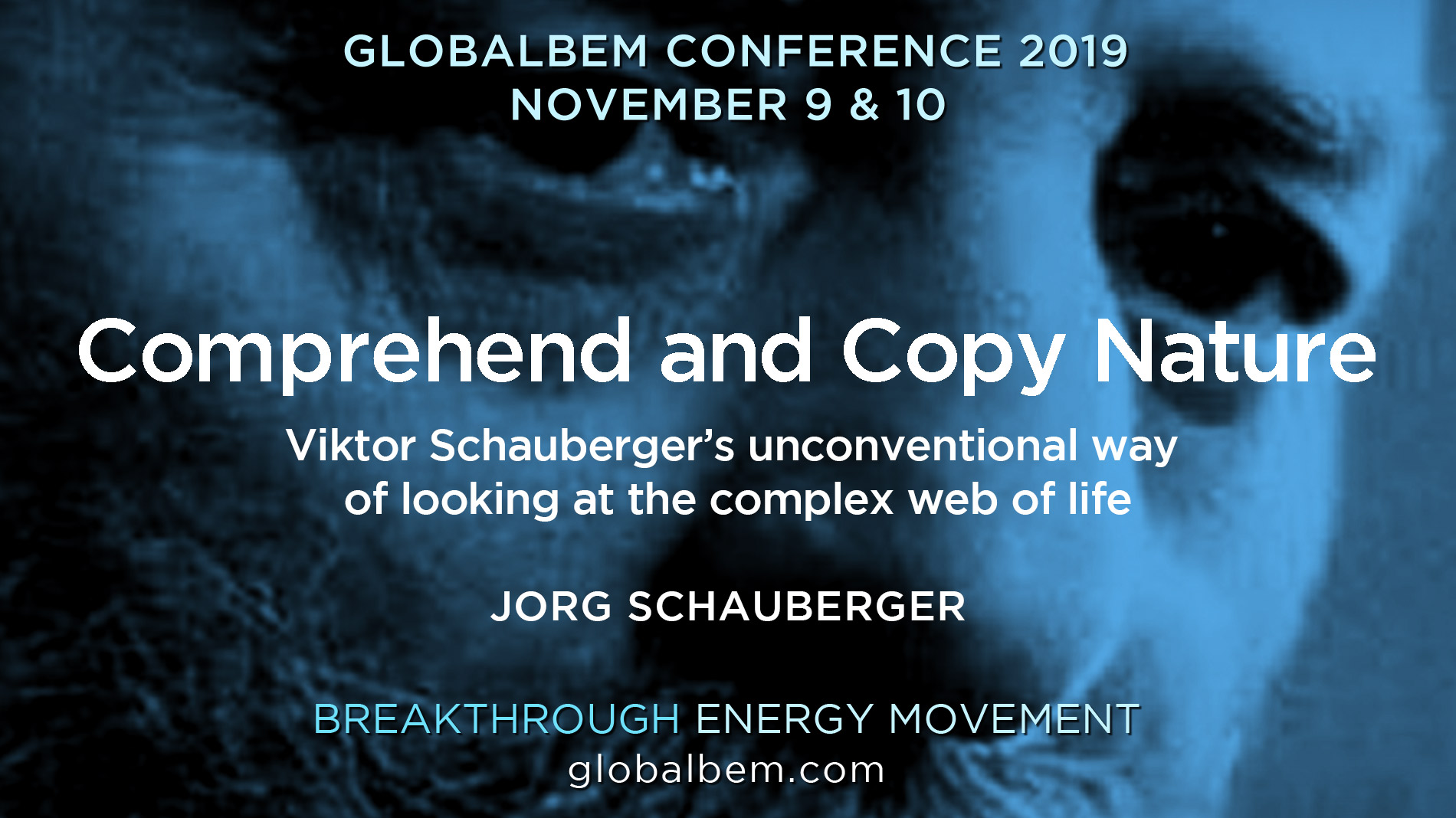 Comprehend and Copy Nature – Jorg Schauberger